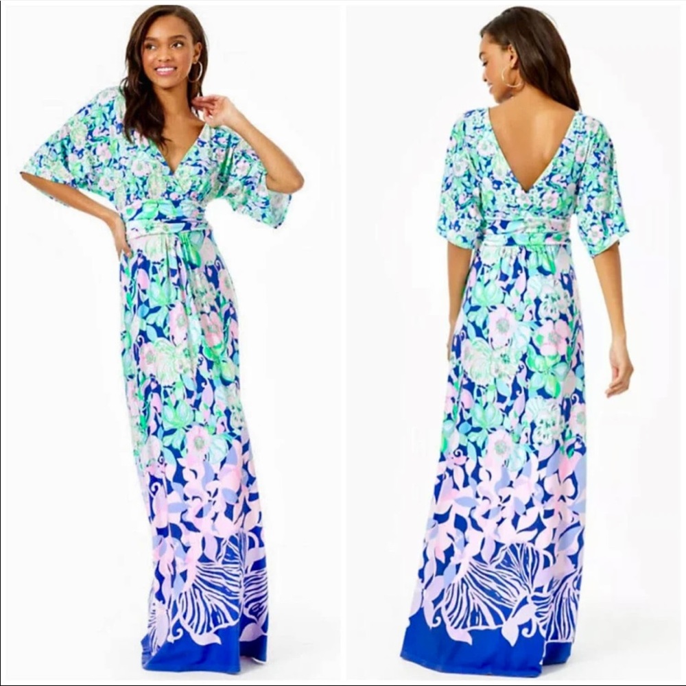 Lilly Pulitzer NWT Parigi Multi Beak Calm Carry on Engineered Maxi Dress XXS